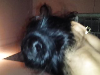 Spēli amerikāņu pūķis, porno, indijas pieaugušo dāmas un zēni porno